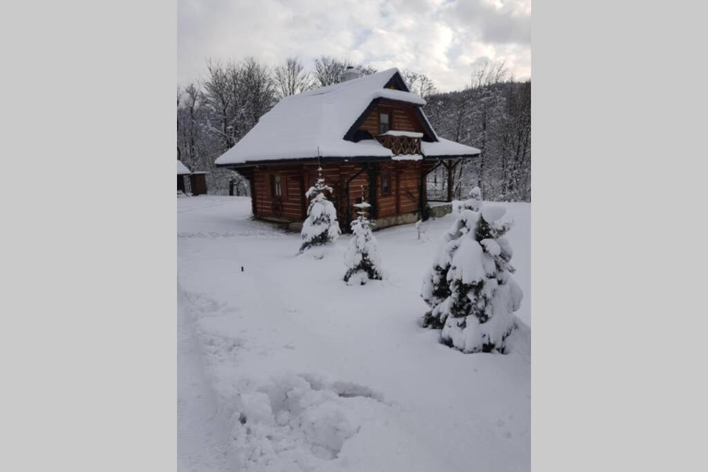 Wapienne Holiday home Sekowa